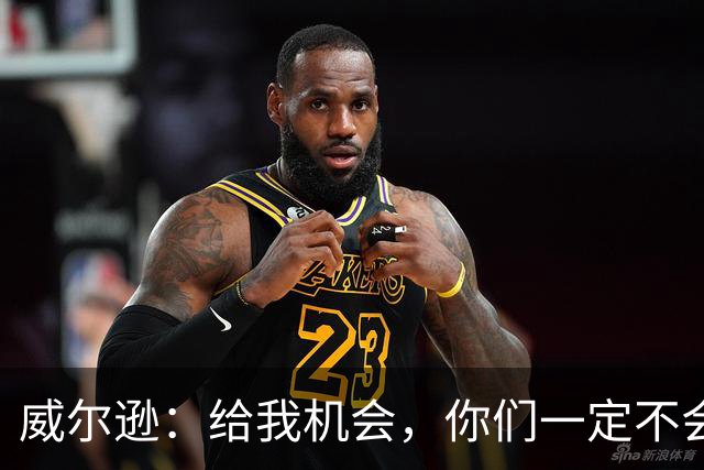 威尔逊：给我机会，你们一定不会后悔！