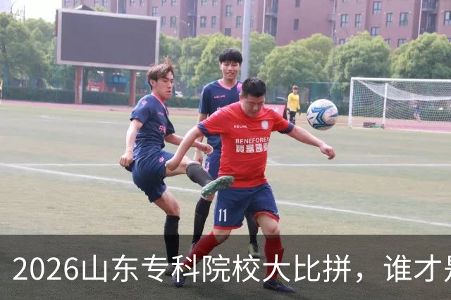 2026山东专科院校大比拼，谁才是“学霸之王”？